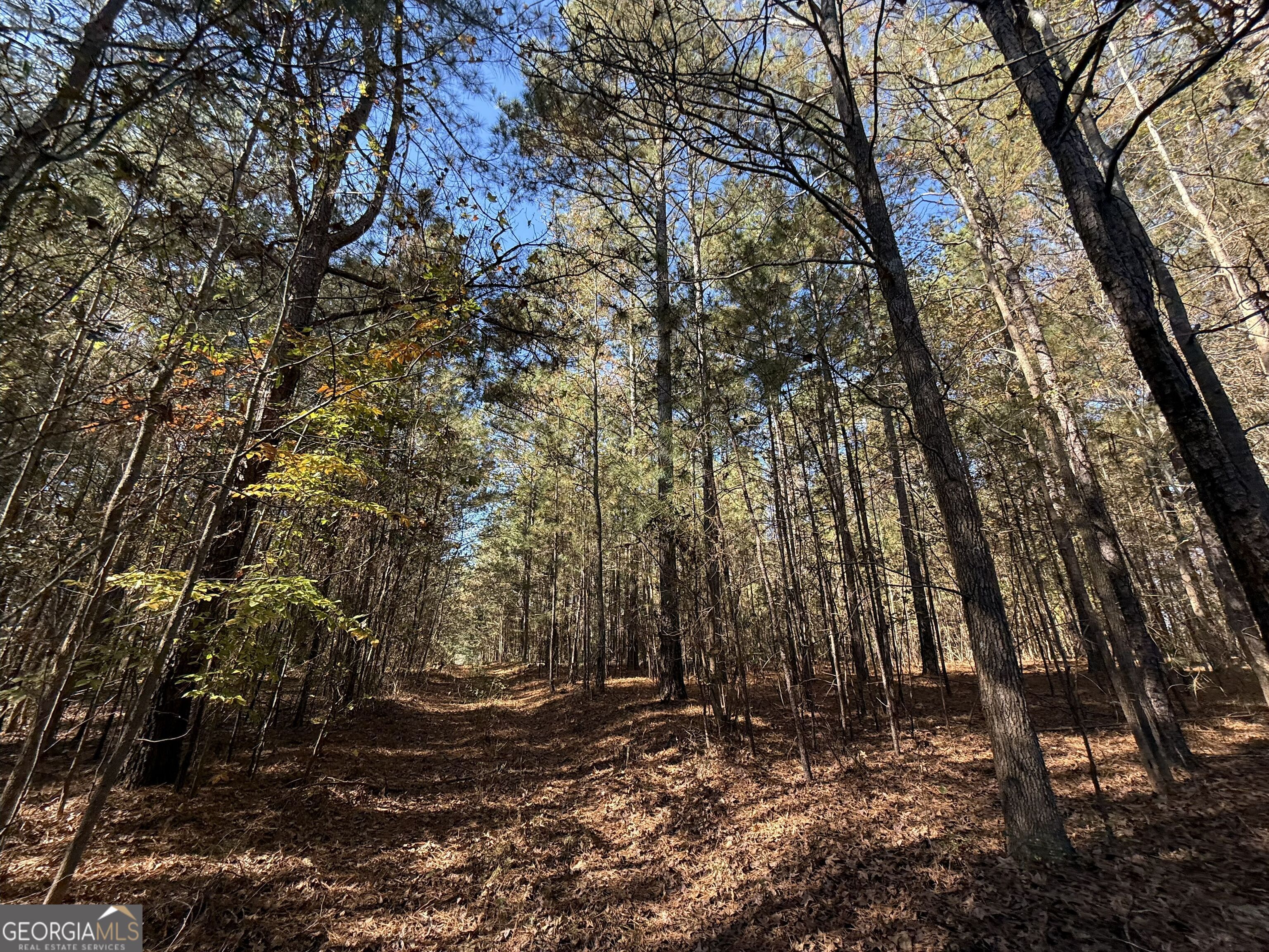 2 Lem Edwards Road Winterville, GA 30628 - Photo 36 of 54