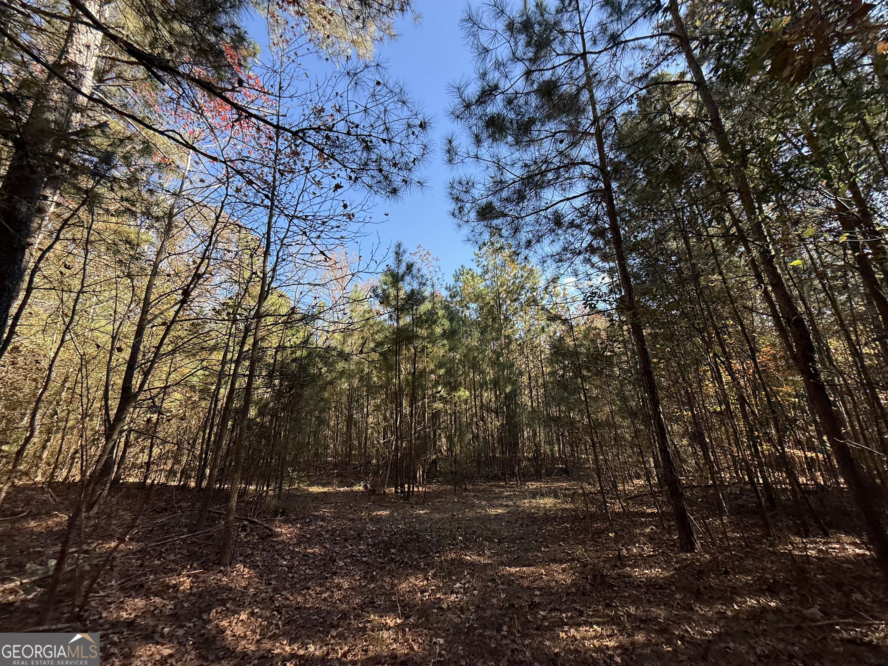 2 Lem Edwards Road Winterville, GA 30628 - Photo 37 of 54