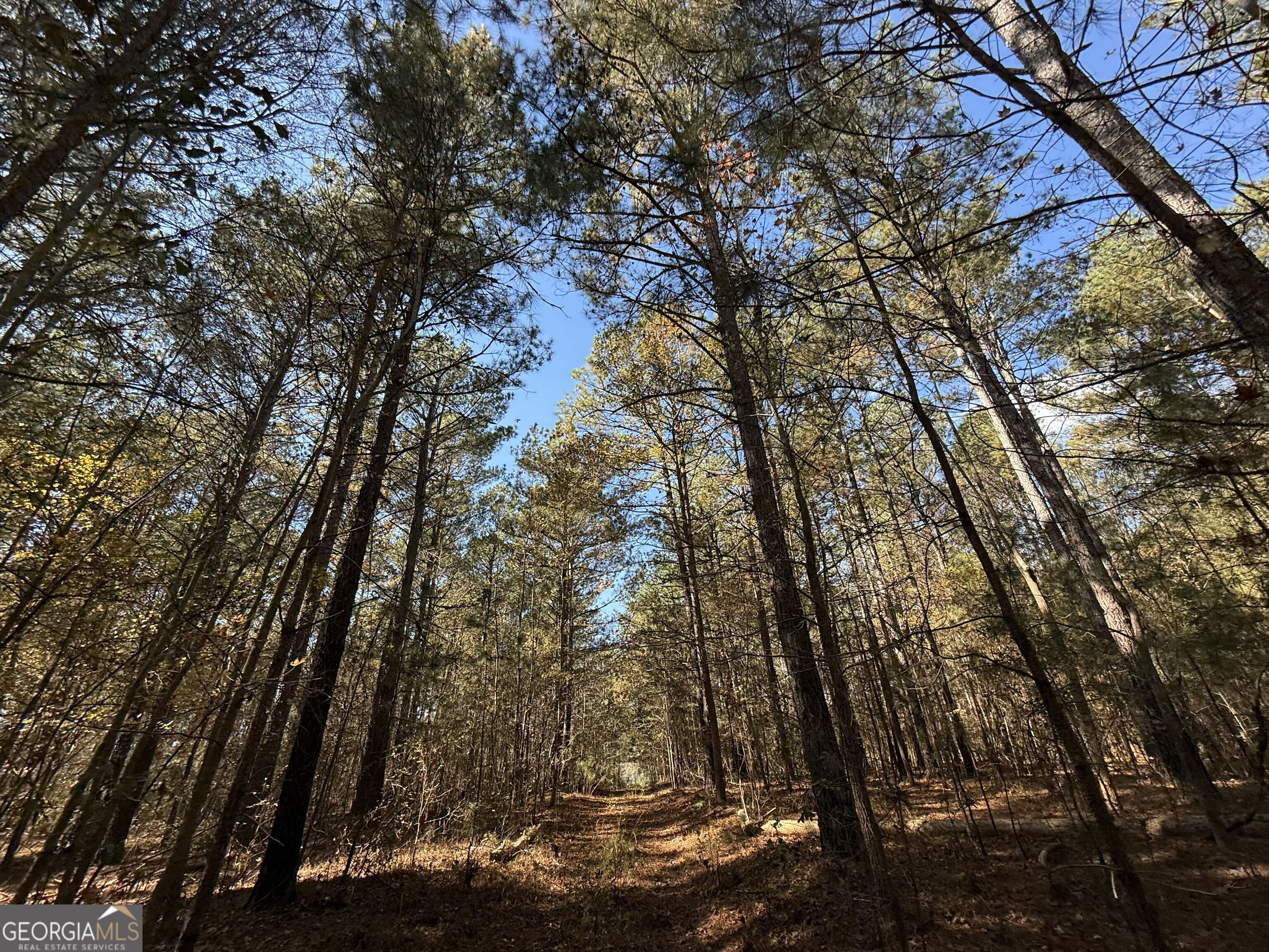 2 Lem Edwards Road Winterville, GA 30628 - Photo 38 of 54