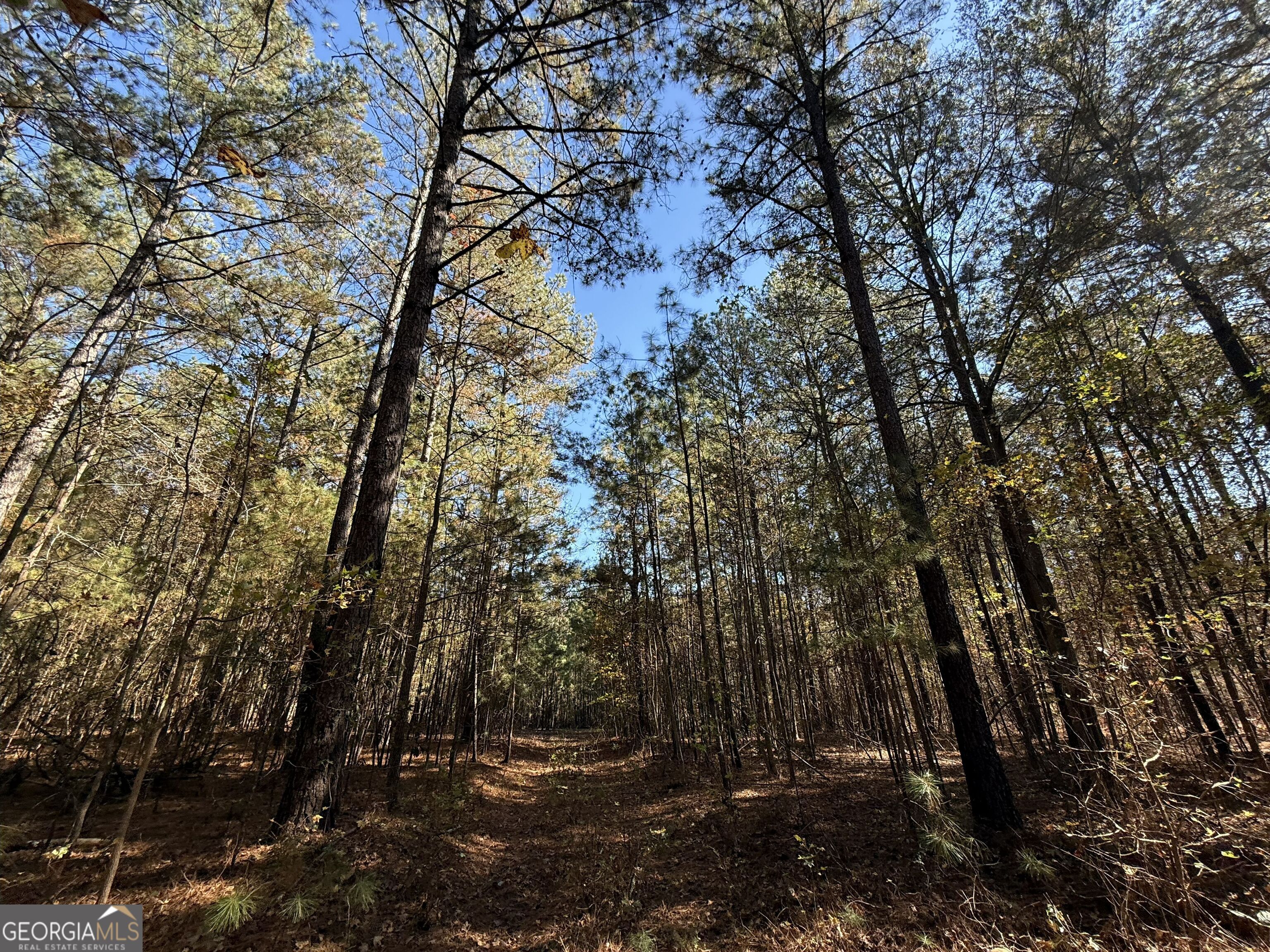 2 Lem Edwards Road Winterville, GA 30628 - Photo 39 of 54