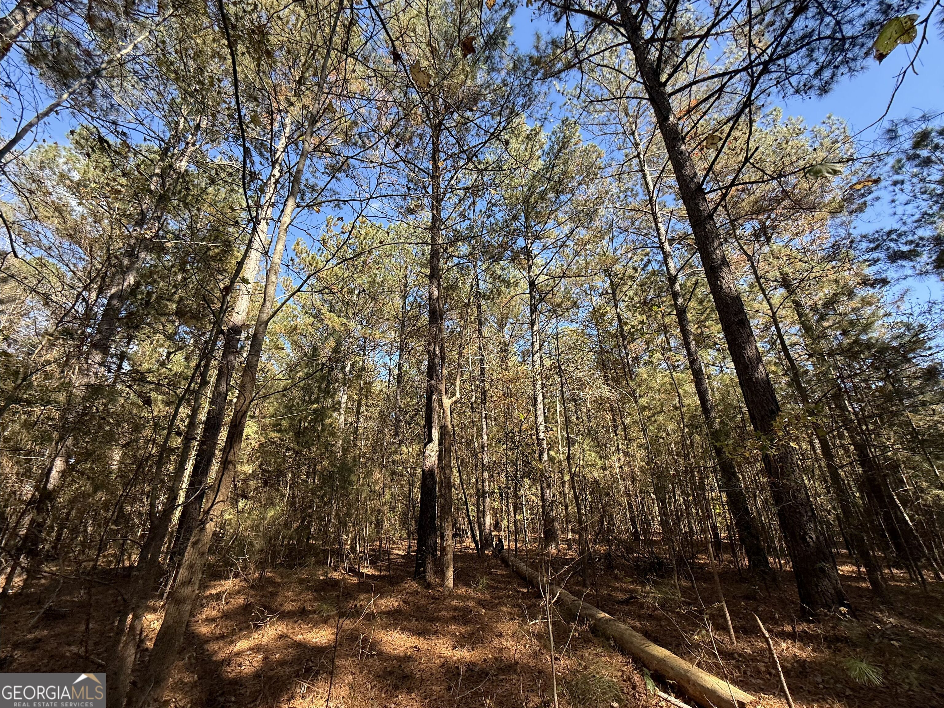 2 Lem Edwards Road Winterville, GA 30628 - Photo 40 of 54