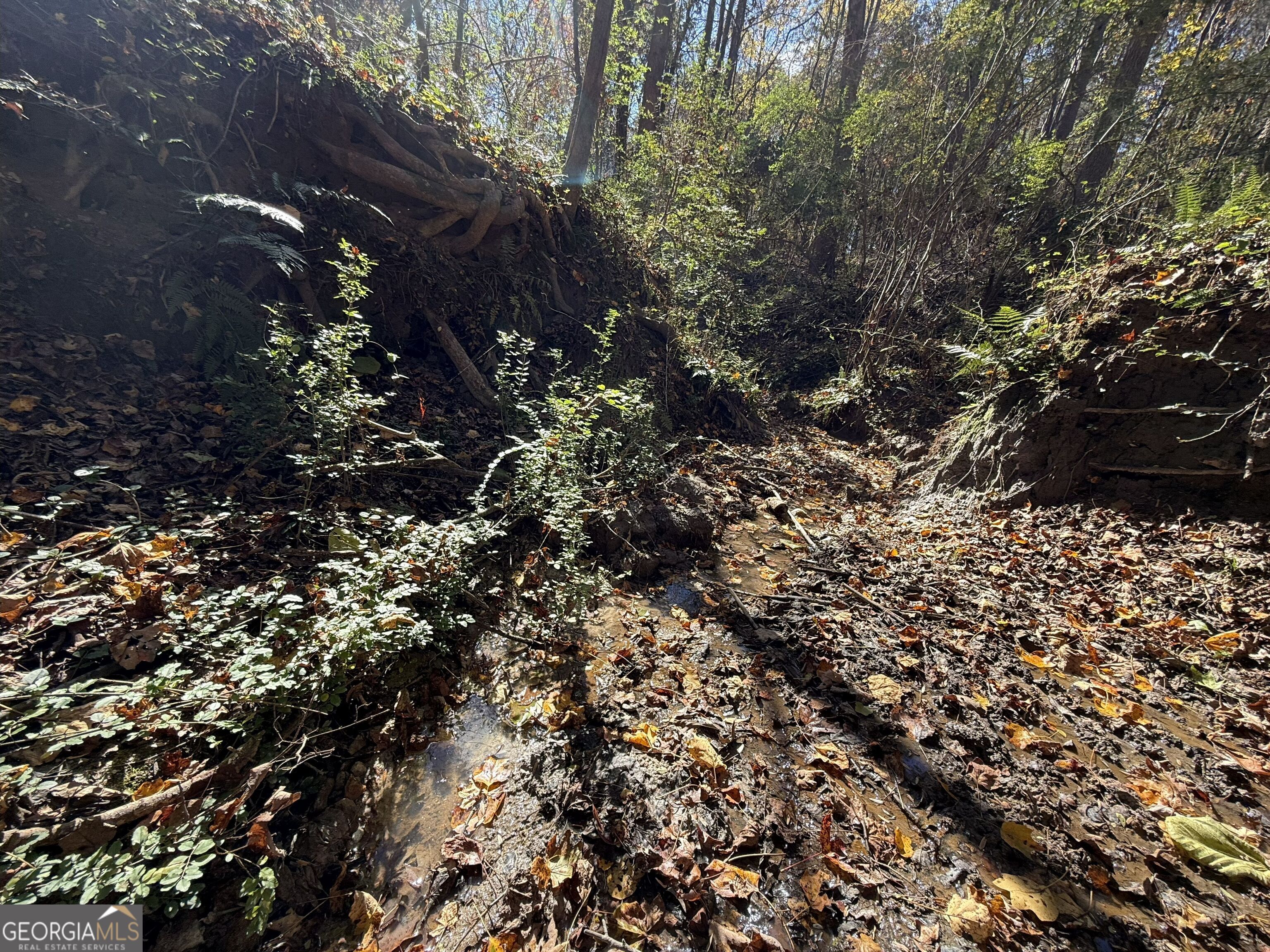 2 Lem Edwards Road Winterville, GA 30628 - Photo 4 of 54