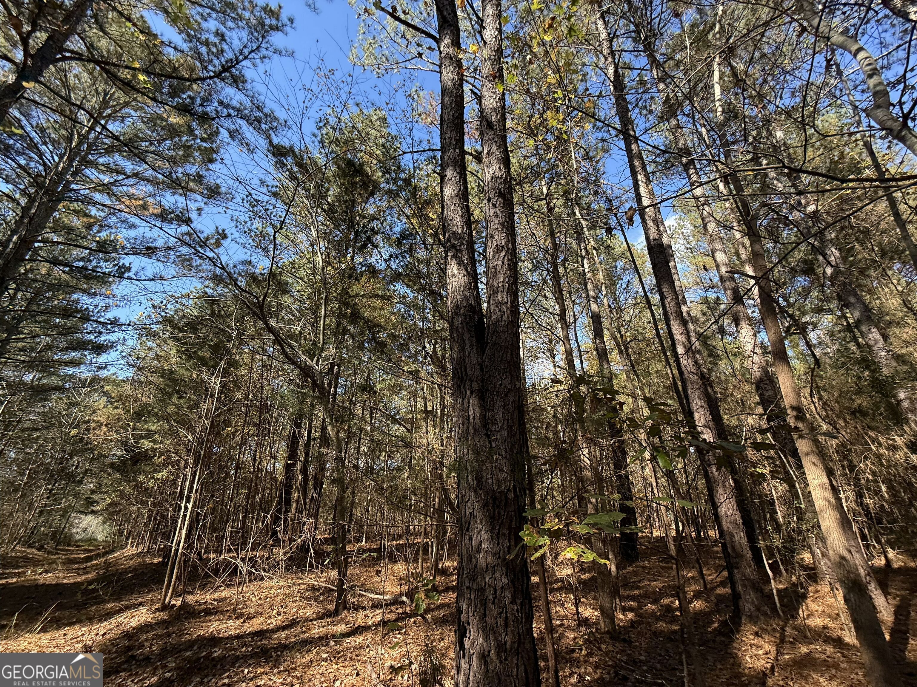 2 Lem Edwards Road Winterville, GA 30628 - Photo 41 of 54