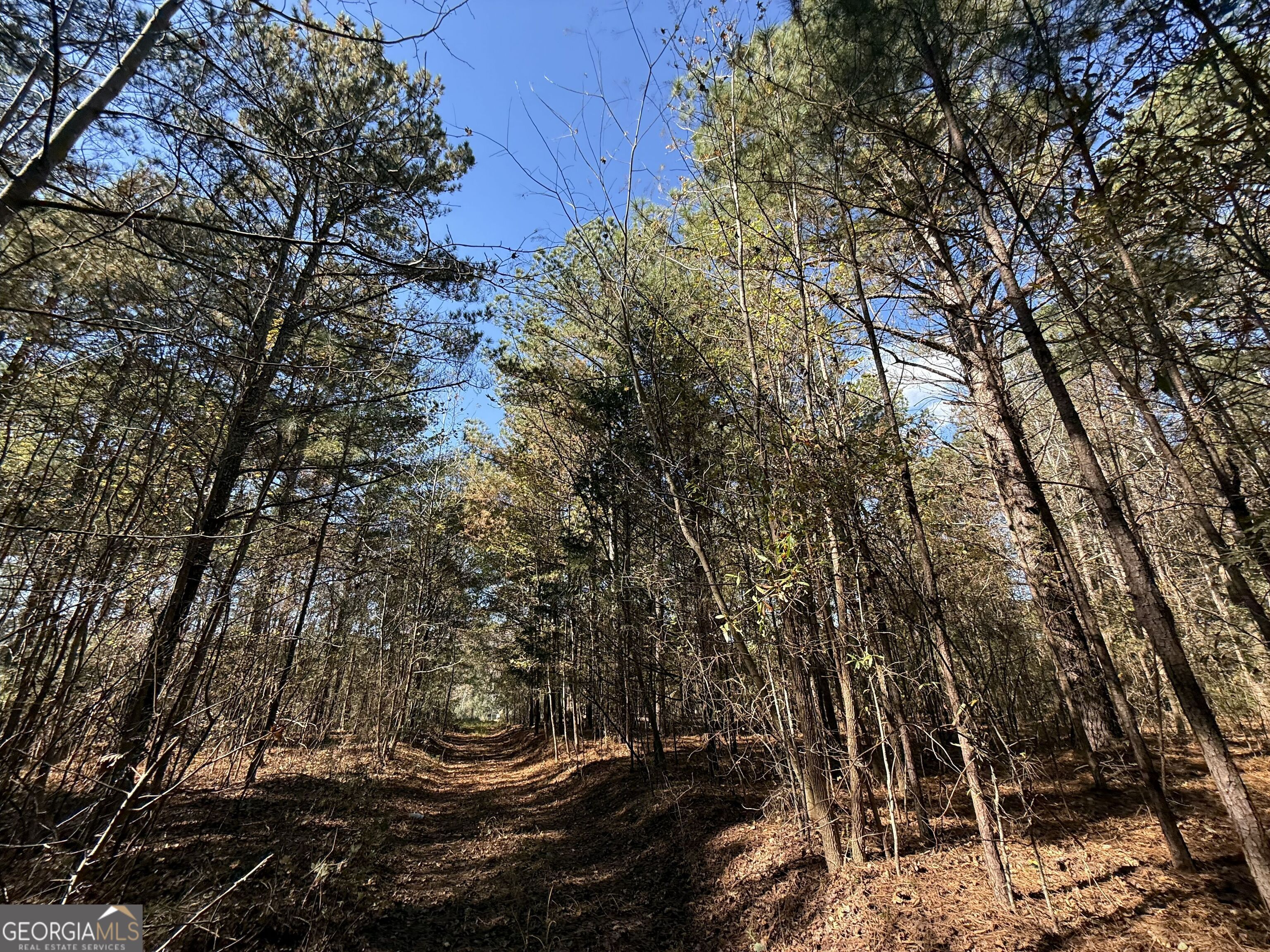 2 Lem Edwards Road Winterville, GA 30628 - Photo 42 of 54