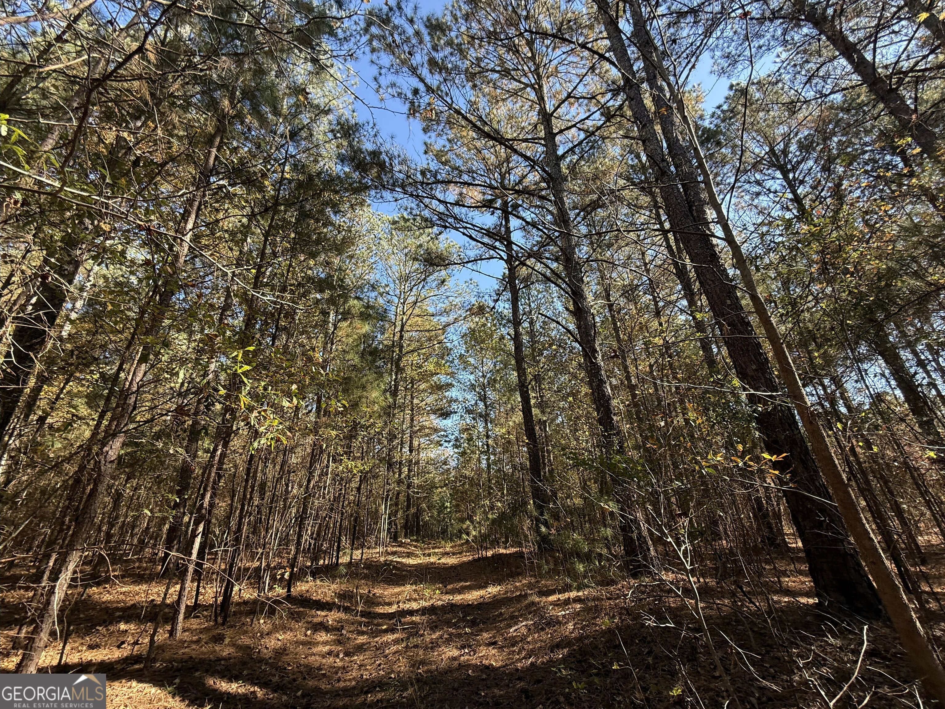 2 Lem Edwards Road Winterville, GA 30628 - Photo 43 of 54