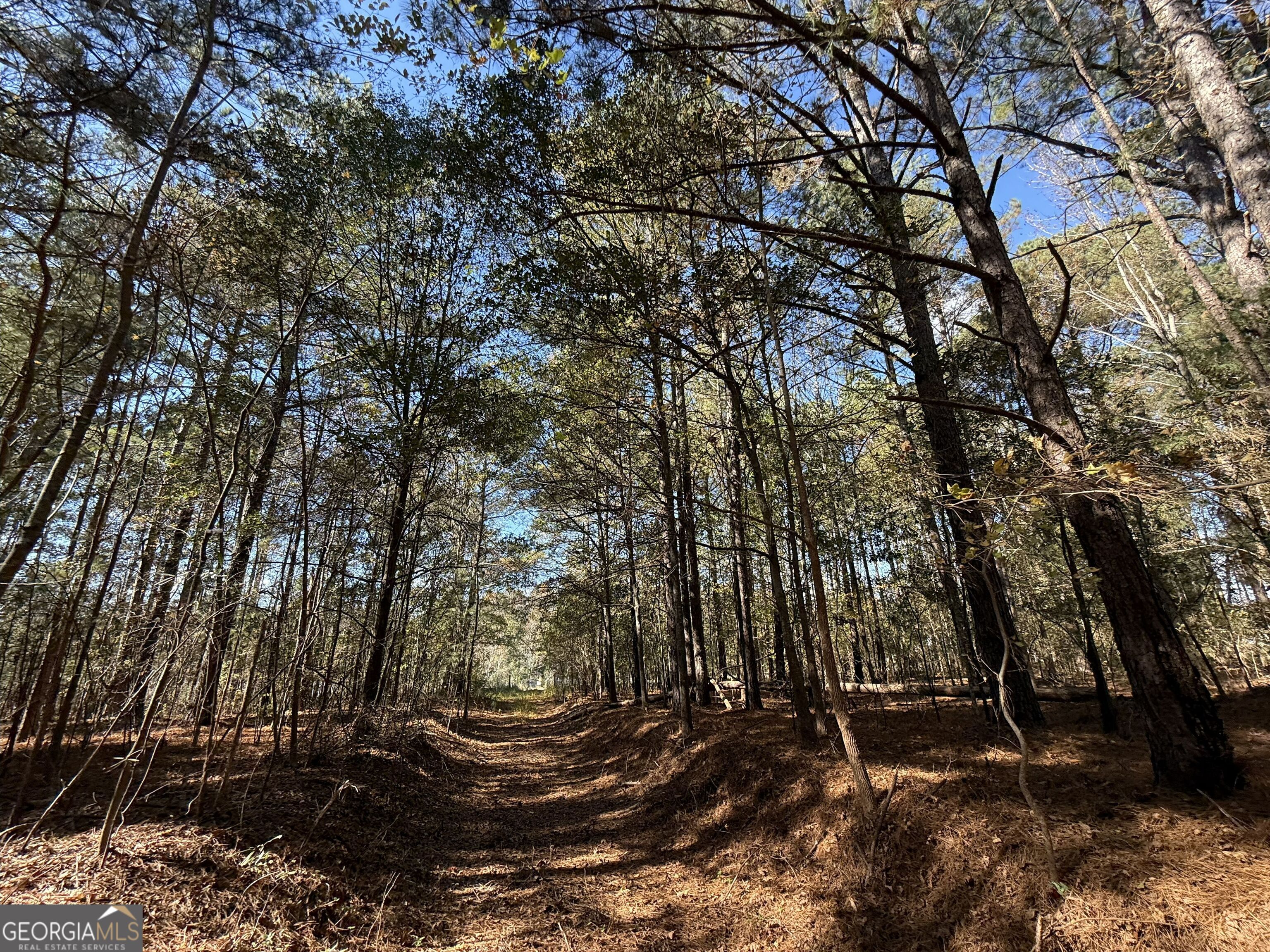 2 Lem Edwards Road Winterville, GA 30628 - Photo 44 of 54