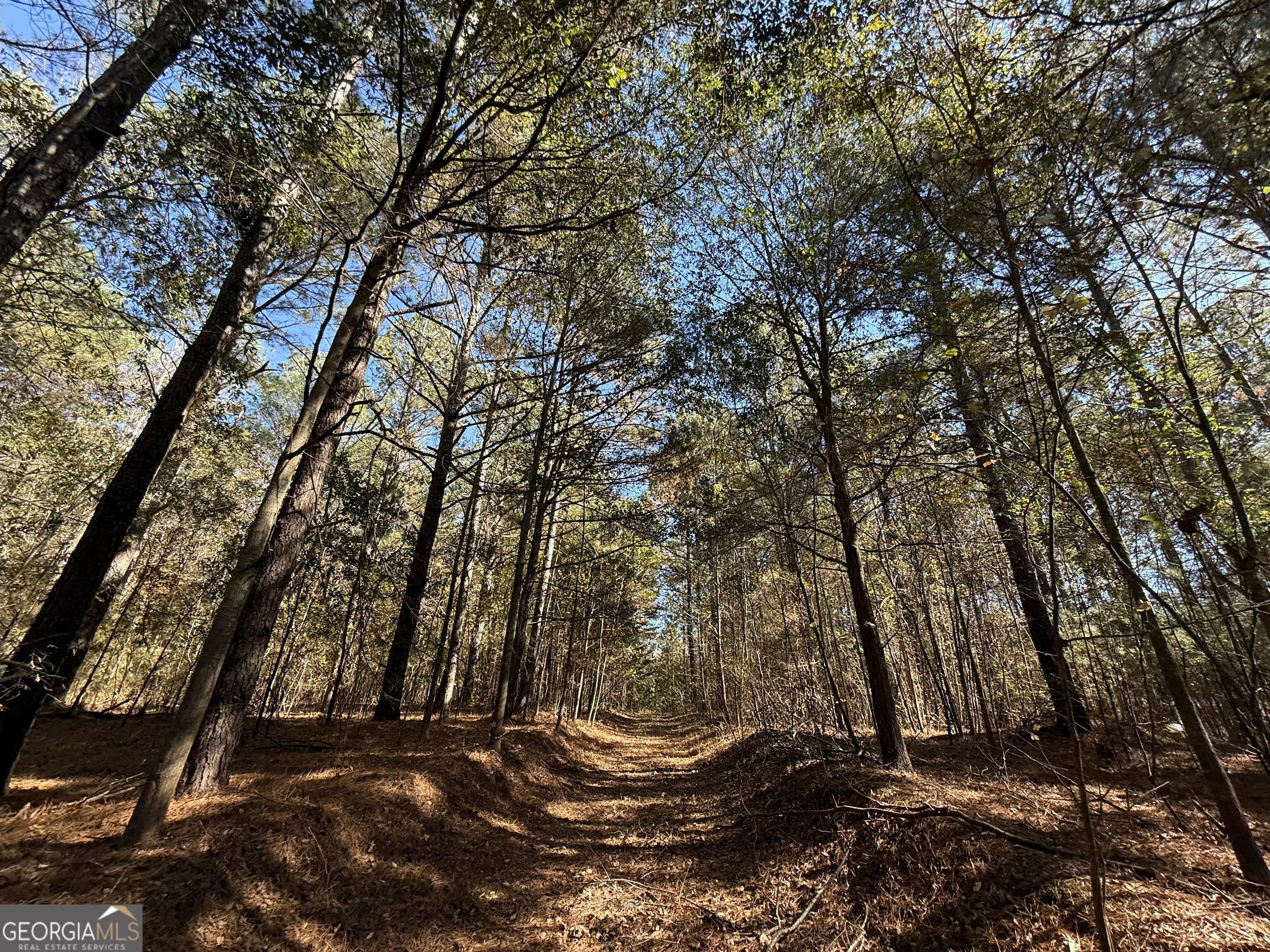 2 Lem Edwards Road Winterville, GA 30628 - Photo 45 of 54