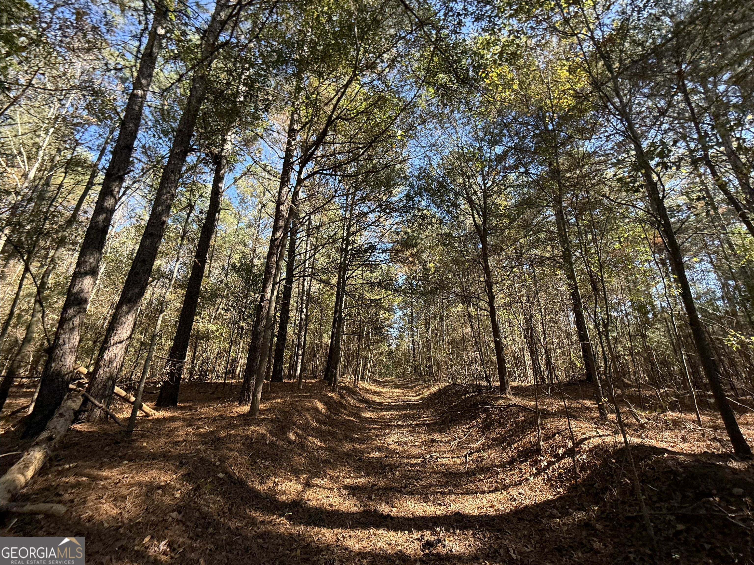 2 Lem Edwards Road Winterville, GA 30628 - Photo 46 of 54