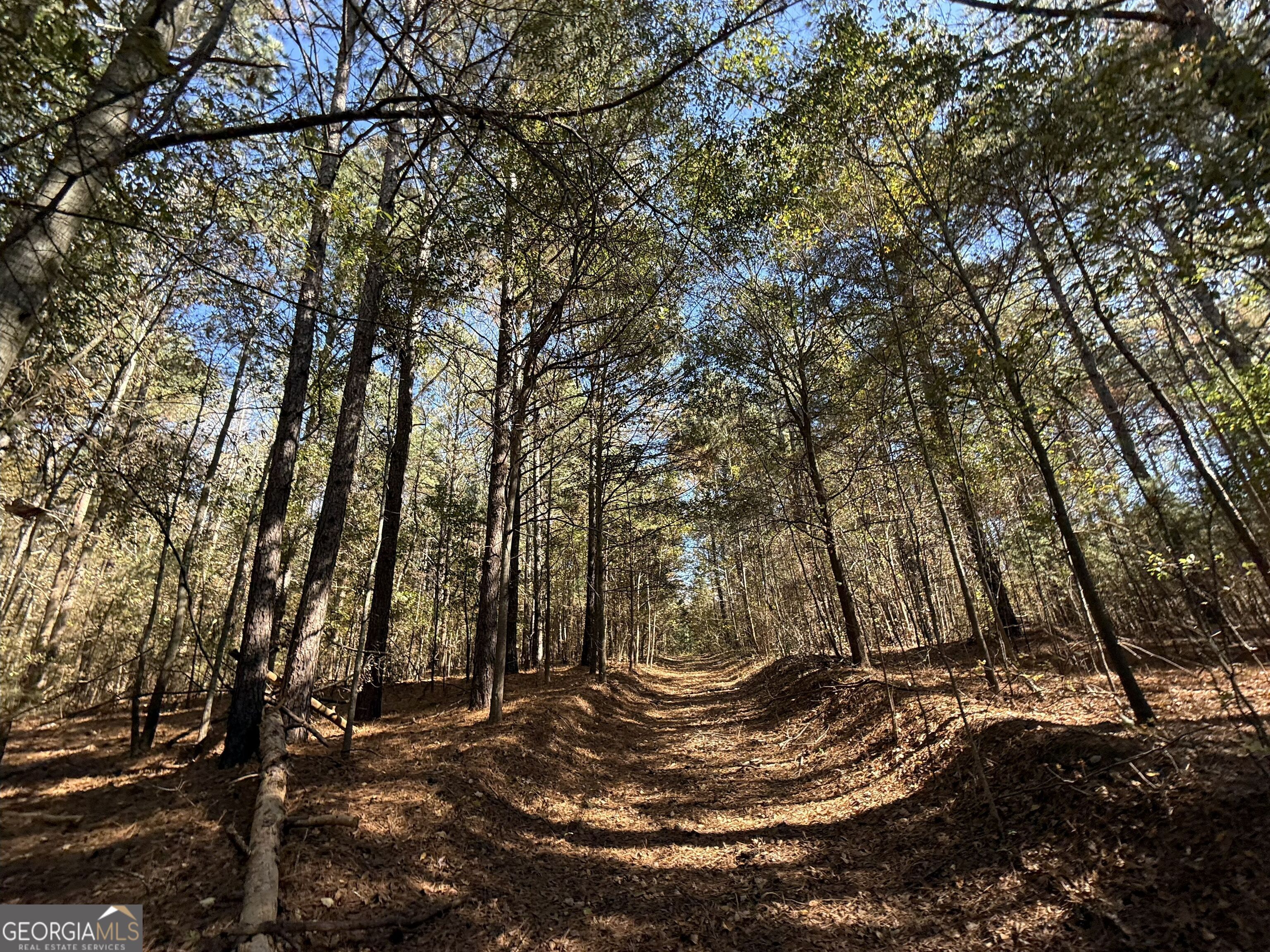 2 Lem Edwards Road Winterville, GA 30628 - Photo 47 of 54