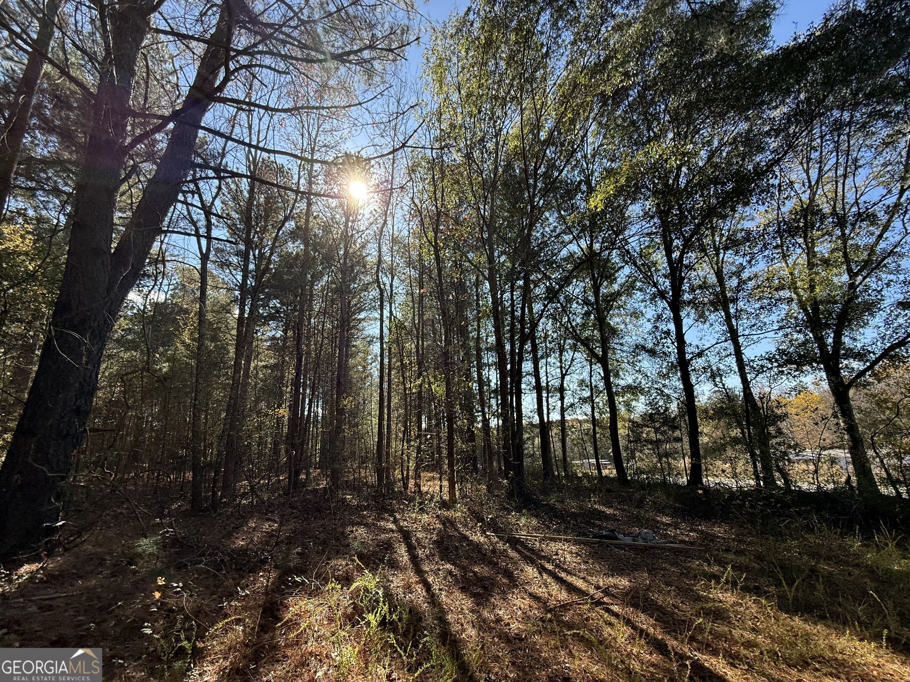 2 Lem Edwards Road Winterville, GA 30628 - Photo 48 of 54