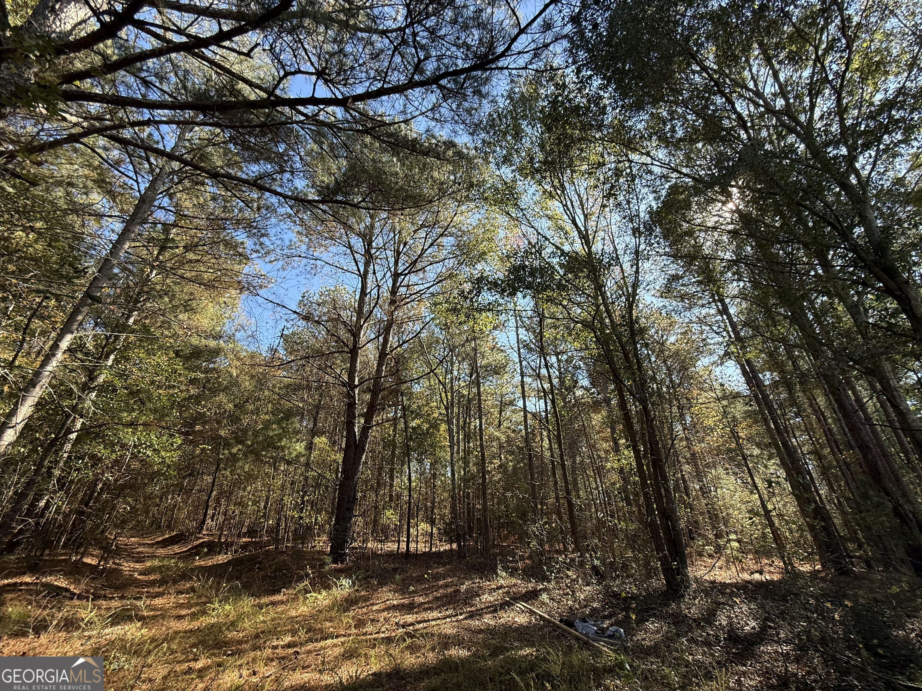 2 Lem Edwards Road Winterville, GA 30628 - Photo 49 of 54