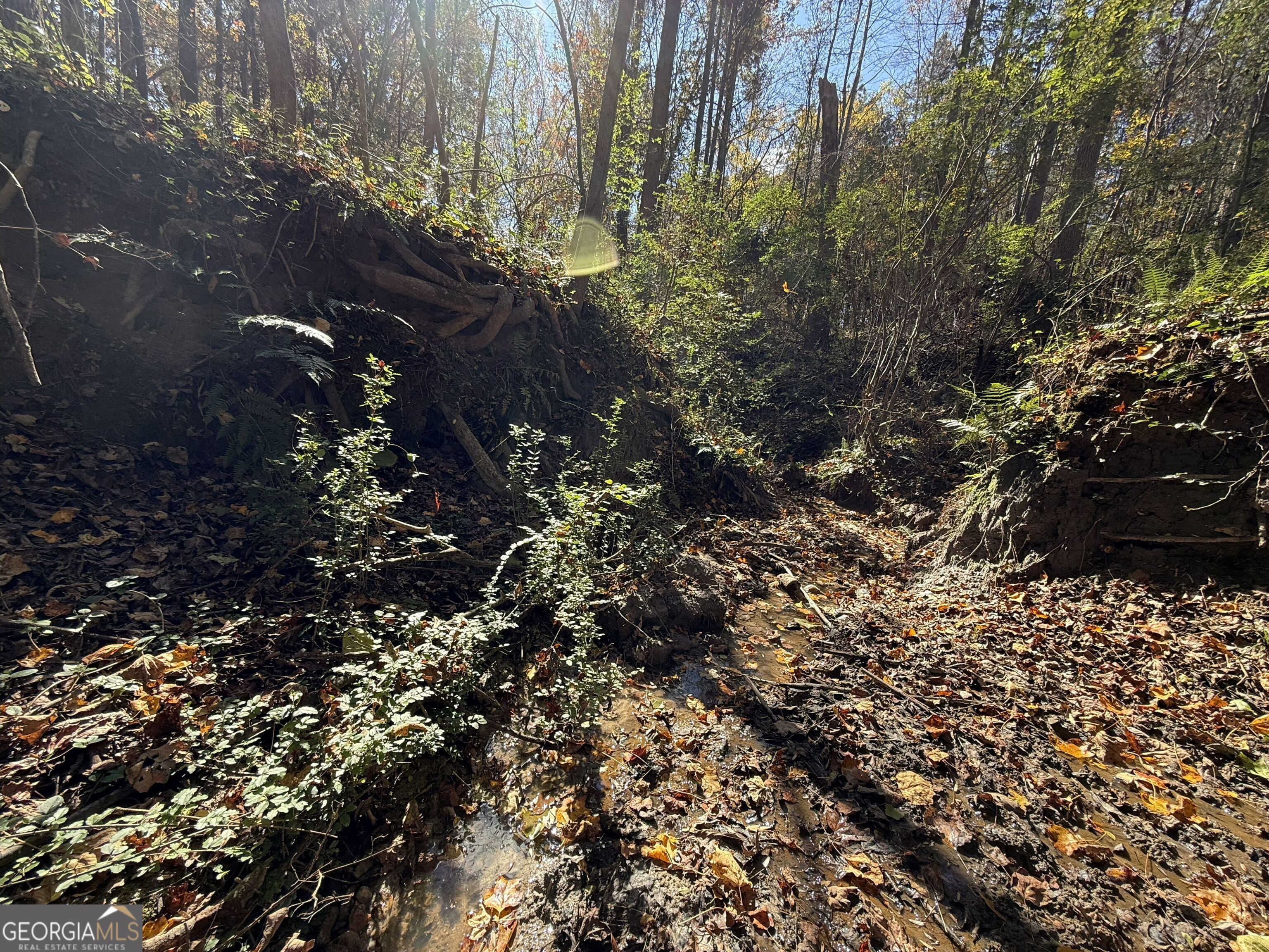 2 Lem Edwards Road Winterville, GA 30628 - Photo 5 of 54