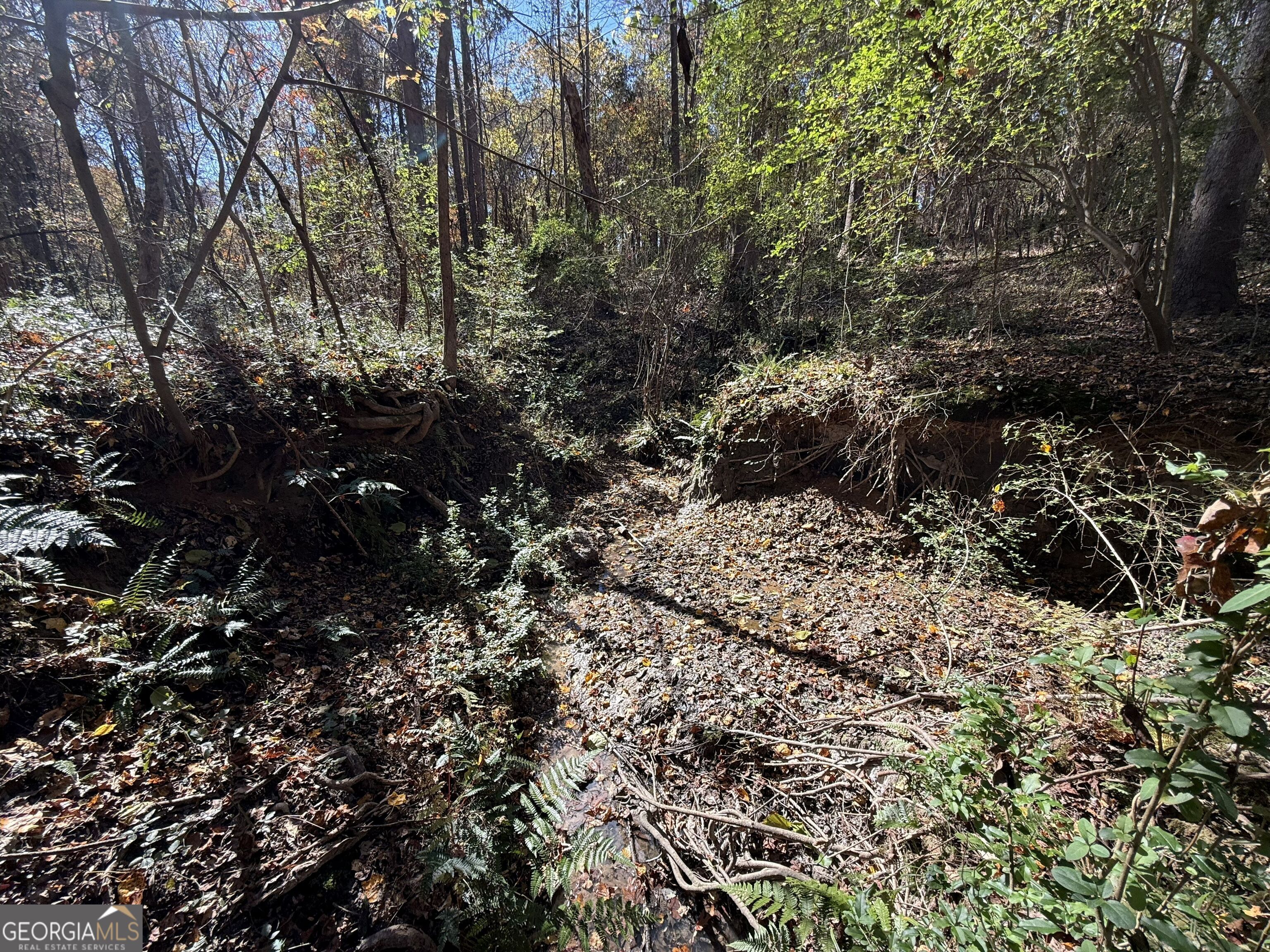 2 Lem Edwards Road Winterville, GA 30628 - Photo 54 of 54