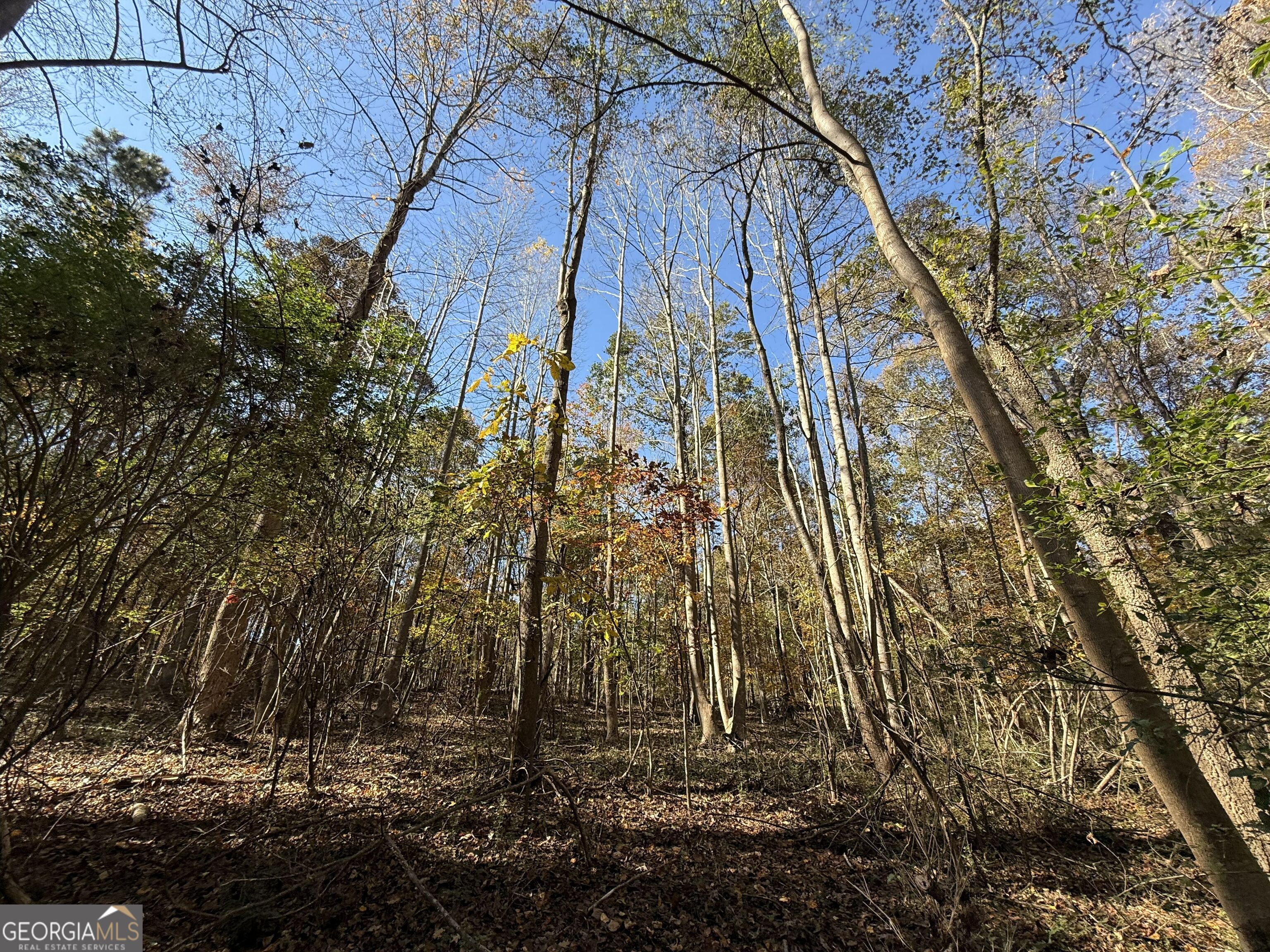 2 Lem Edwards Road Winterville, GA 30628 - Photo 6 of 54