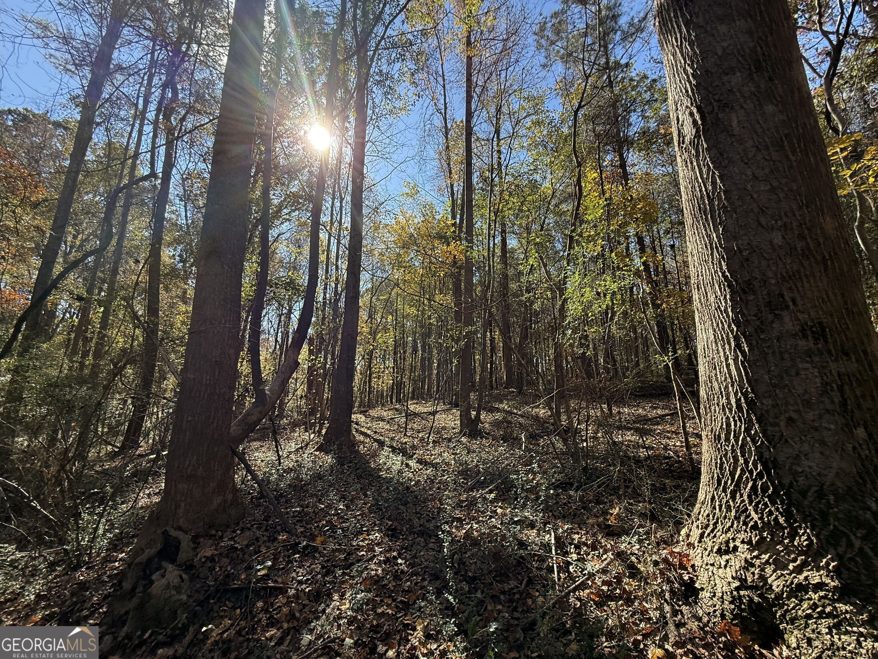 2 Lem Edwards Road Winterville, GA 30628 - Photo 7 of 54