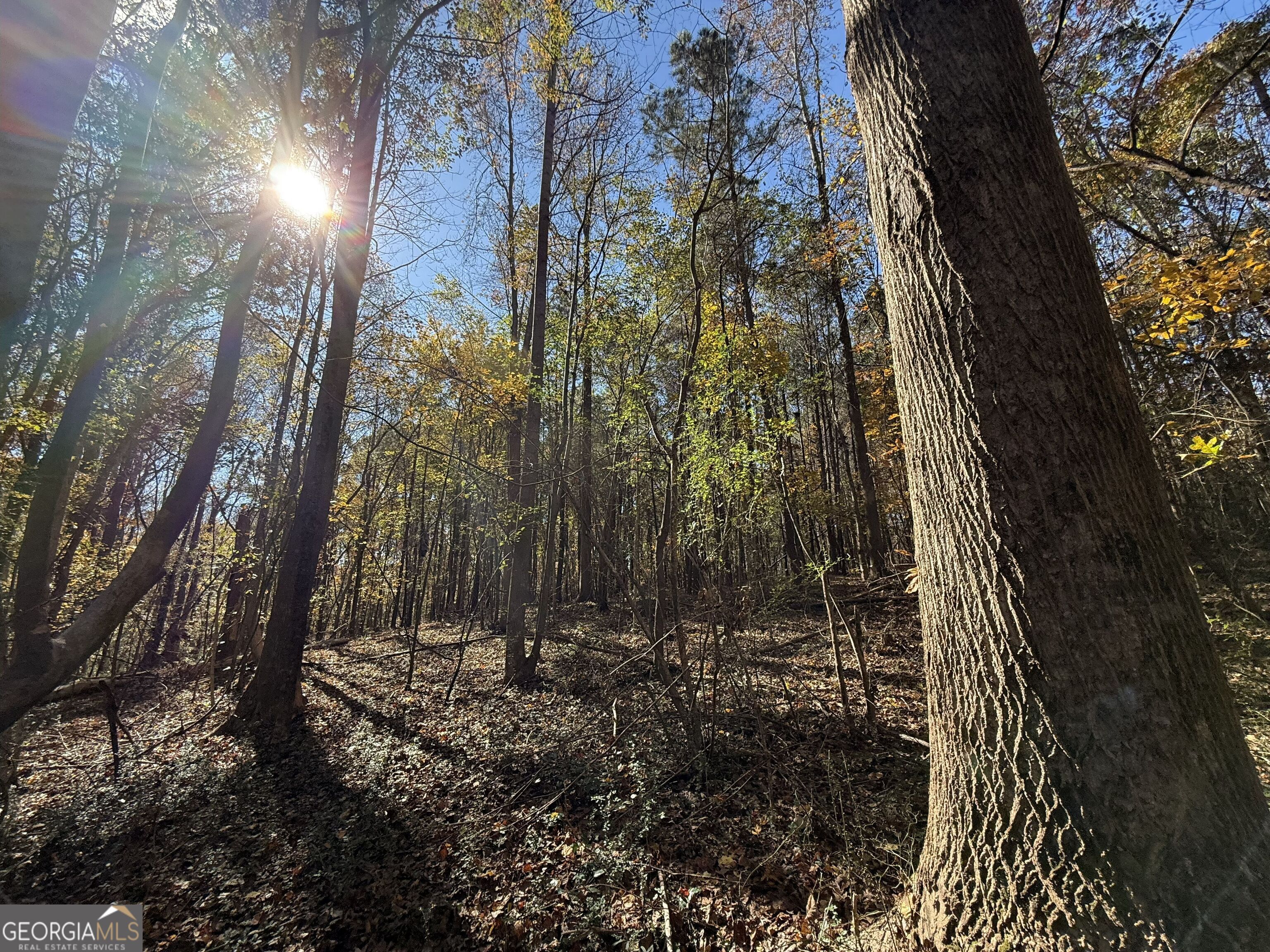 2 Lem Edwards Road Winterville, GA 30628 - Photo 8 of 54