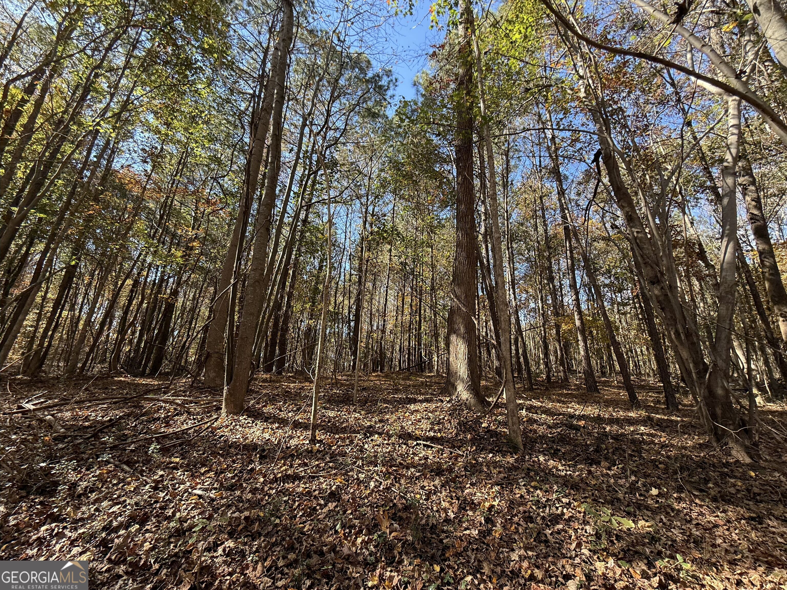 2 Lem Edwards Road Winterville, GA 30628 - Photo 9 of 54