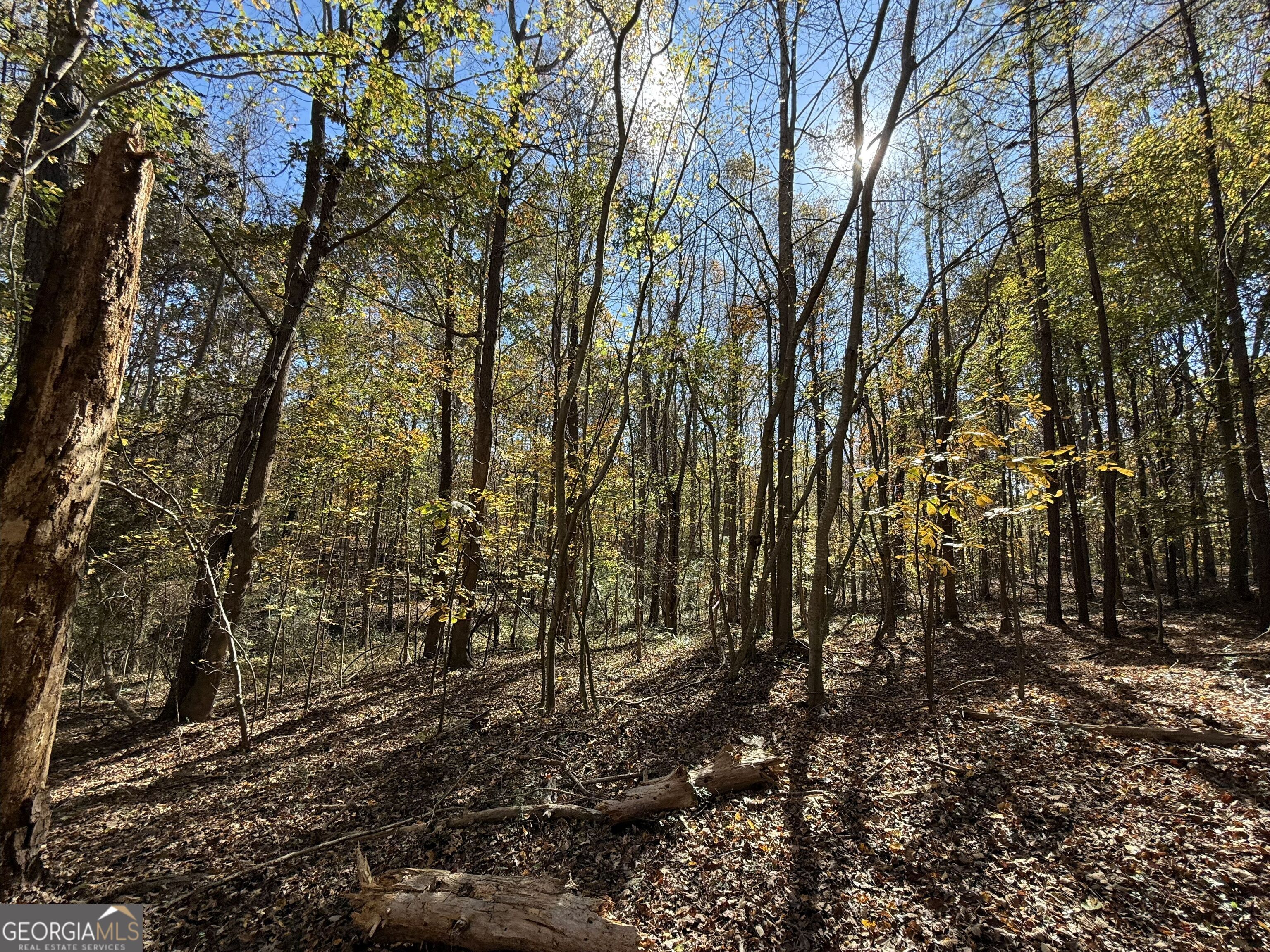 2 Lem Edwards Road Winterville, GA 30628 - Photo 10 of 54