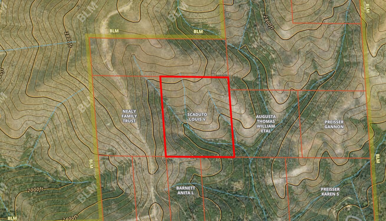 50 Acres Road French Gulch, CA 96033 - Photo 6 of 7 Screenshot 2024-11-03 114656