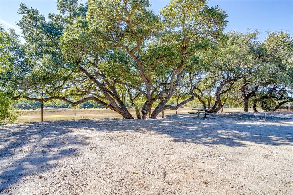 628 Athenia Drive Fort Worth, TX 76114 - Photo 11 of 24 a view of a yard with plants and trees