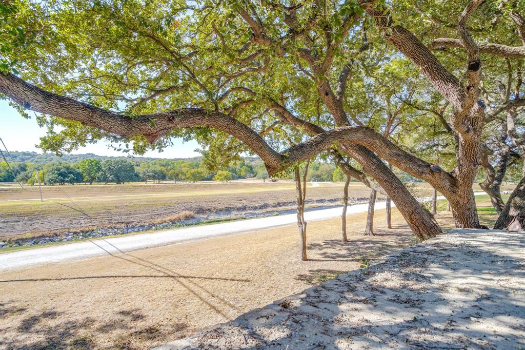 628 Athenia Drive Fort Worth, TX 76114 - Photo 14 of 24 a view of a yard with a tree