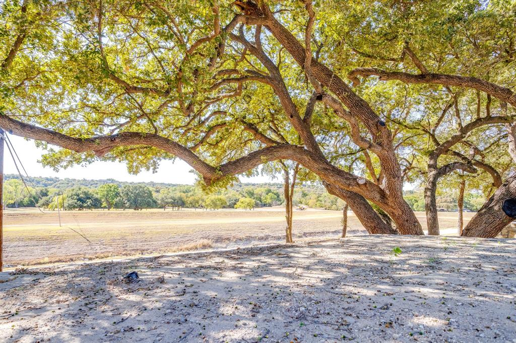 628 Athenia Drive Fort Worth, TX 76114 - Photo 19 of 24 a view of yard and tree