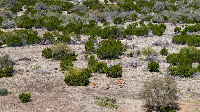 a view of a street with a yard