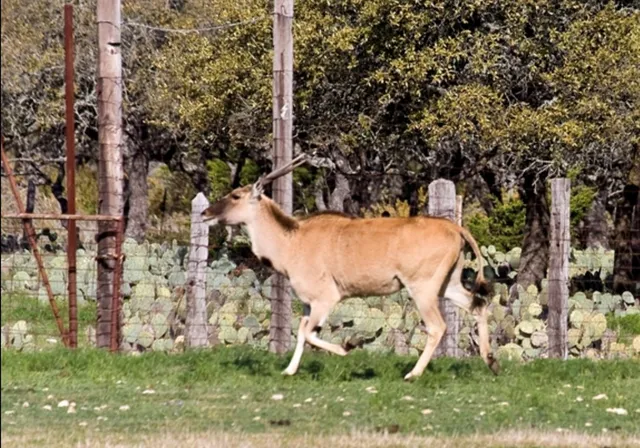 a view of a backyard with plants and outdoor seating