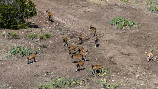 a view of a dry yard with chairs