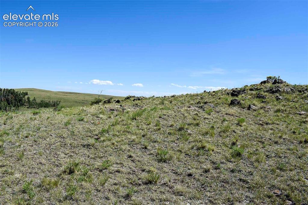 0 Bear Cat Road Guffey, CO 80820 - Photo 28 of 40