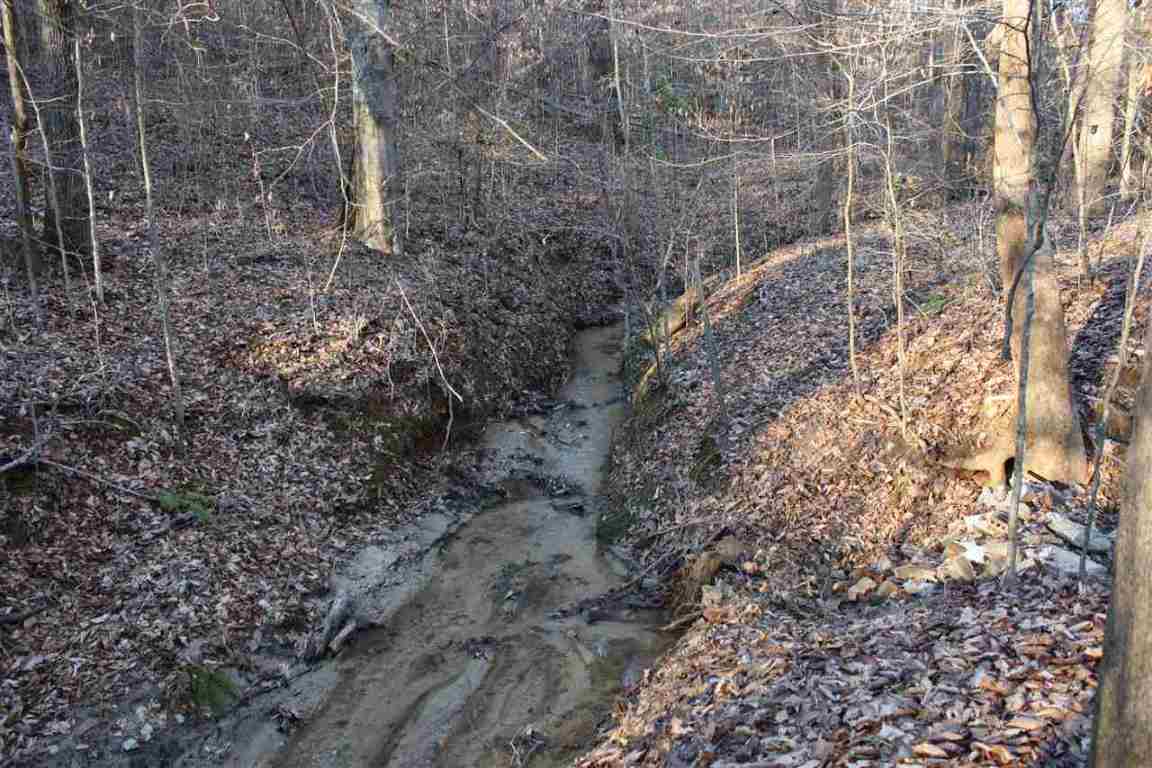 Gallery Image 6