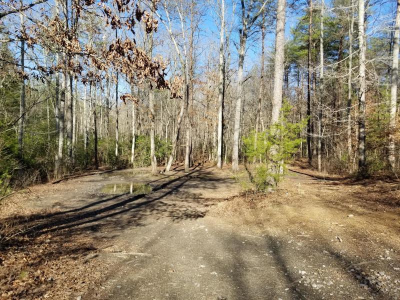 41.02 Palmer Firetower Road Whitwell, TN 37397 - Photo 2 of 9 20180228225858422246000000-o