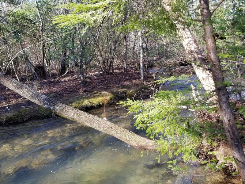 41.02 Palmer Firetower Road Whitwell, TN 37397 - Photo 3 of 9 20180228230006769835000000-o