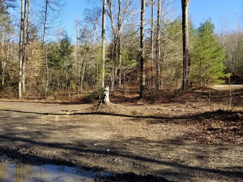 41.02 Palmer Firetower Road Whitwell, TN 37397 - Photo 4 of 9 20180228230029274159000000-o