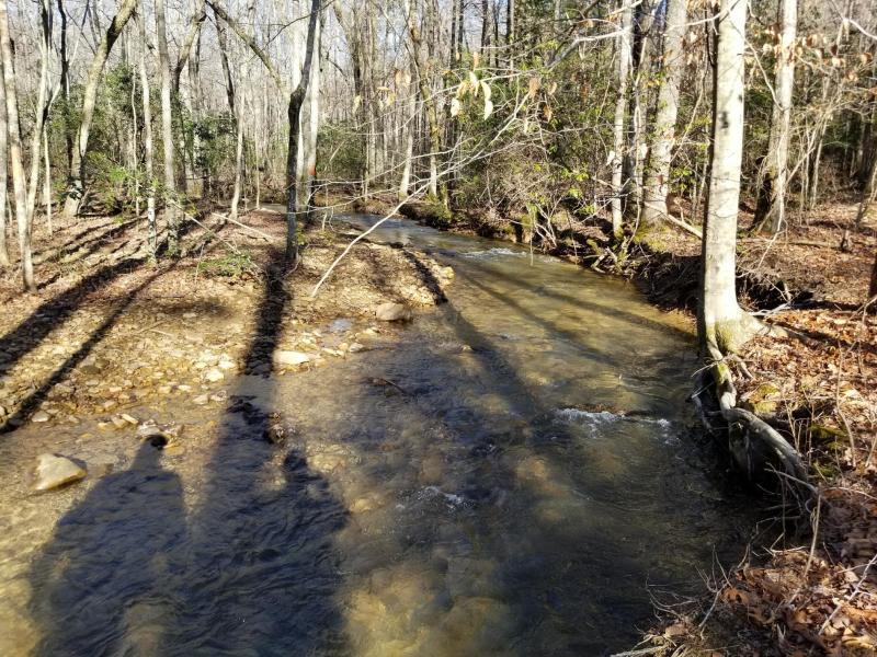 41.02 Palmer Firetower Road Whitwell, TN 37397 - Photo 5 of 9 20180228230103496601000000-o