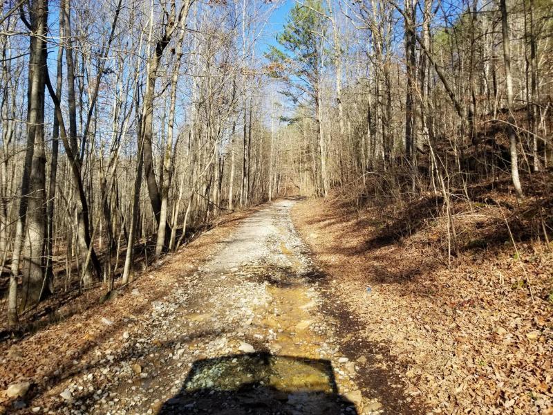 41.02 Palmer Firetower Road Whitwell, TN 37397 - Photo 6 of 9 20180228230136485015000000-o