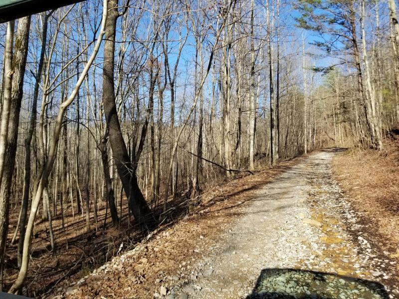 41.02 Palmer Firetower Road Whitwell, TN 37397 - Photo 7 of 9 20180228230205555955000000-o