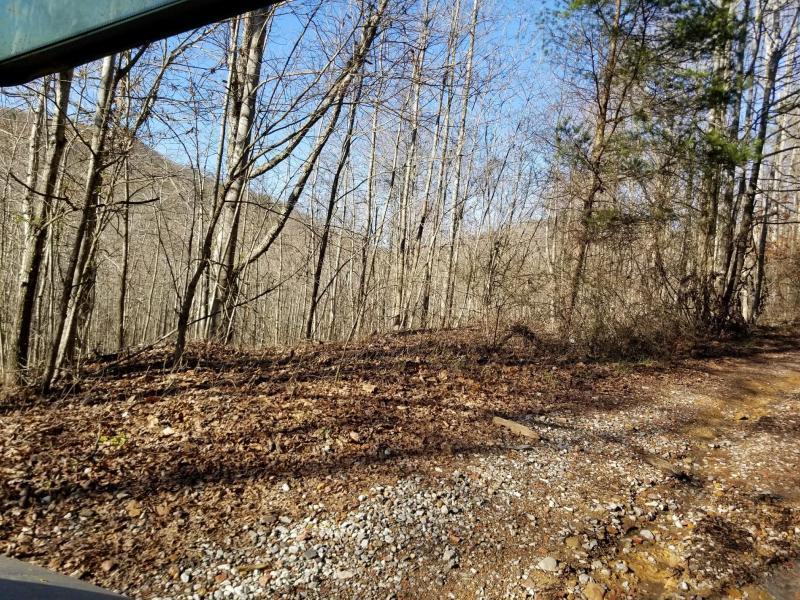 41.02 Palmer Firetower Road Whitwell, TN 37397 - Photo 8 of 9 20180228230247167337000000-o