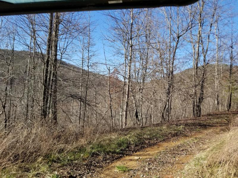 41.02 Palmer Firetower Road Whitwell, TN 37397 - Photo 9 of 9 20180228230307705749000000-o