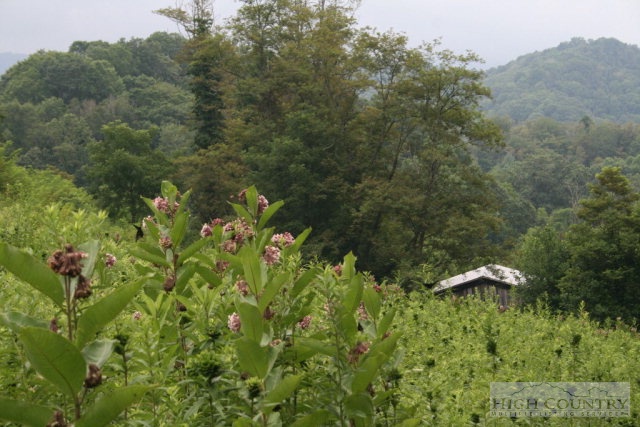 867 Georges Gap Road Vilas, NC 28692 - Photo 40 of 41 Gallery Image 40