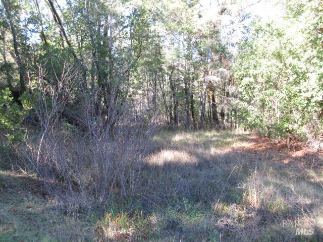 20515 Fort Ross Road Cazadero, CA 95421 - Photo 2 of 17