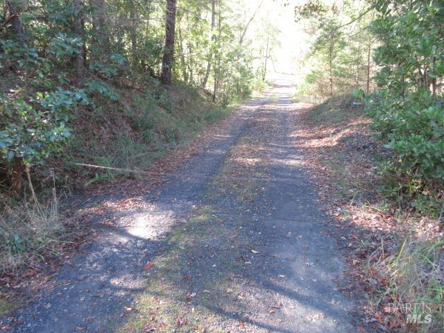 20515 Fort Ross Road Cazadero, CA 95421 - Photo 3 of 17 a view of forest with trees