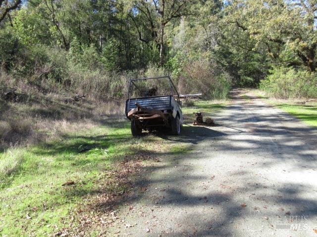 20515 Fort Ross Road Cazadero, CA 95421 - Photo 5 of 17 a backyard of a house with lots of green space