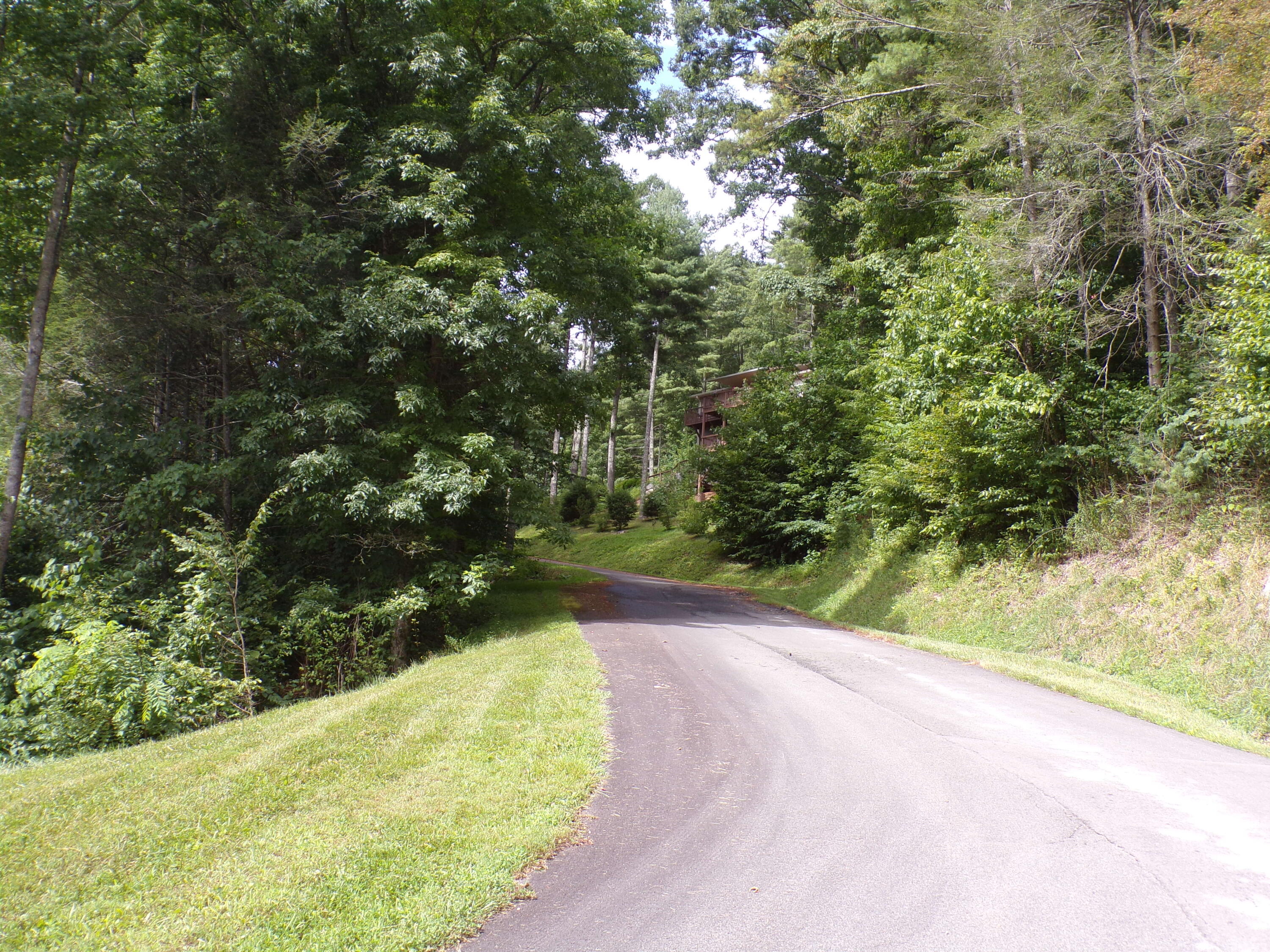 Lot 23 Lake Ridge, Unit 23 Butler, TN 37640 - Photo 2 of 6 103_4940