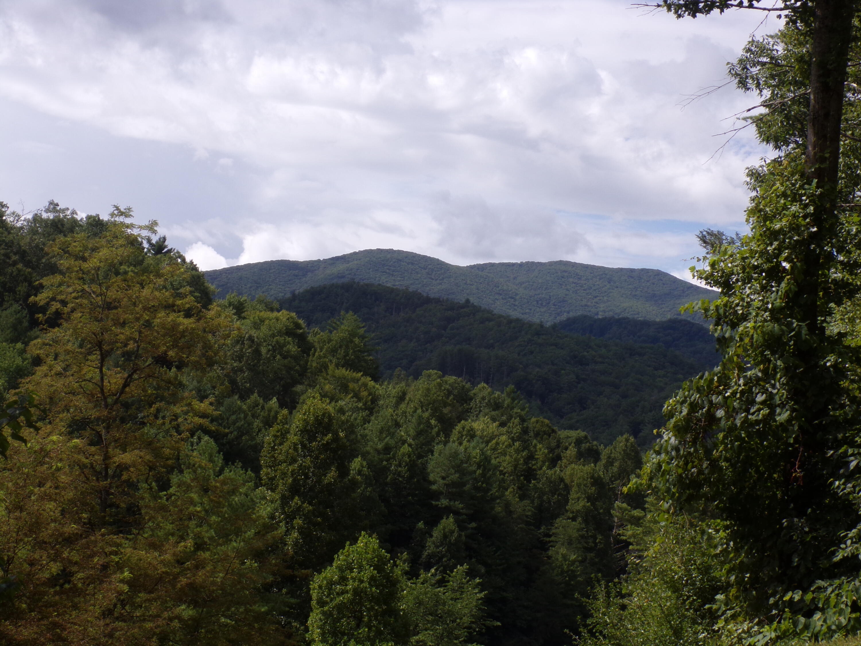 Lot 23 Lake Ridge, Unit 23 Butler, TN 37640 - Photo 3 of 6 103_4941