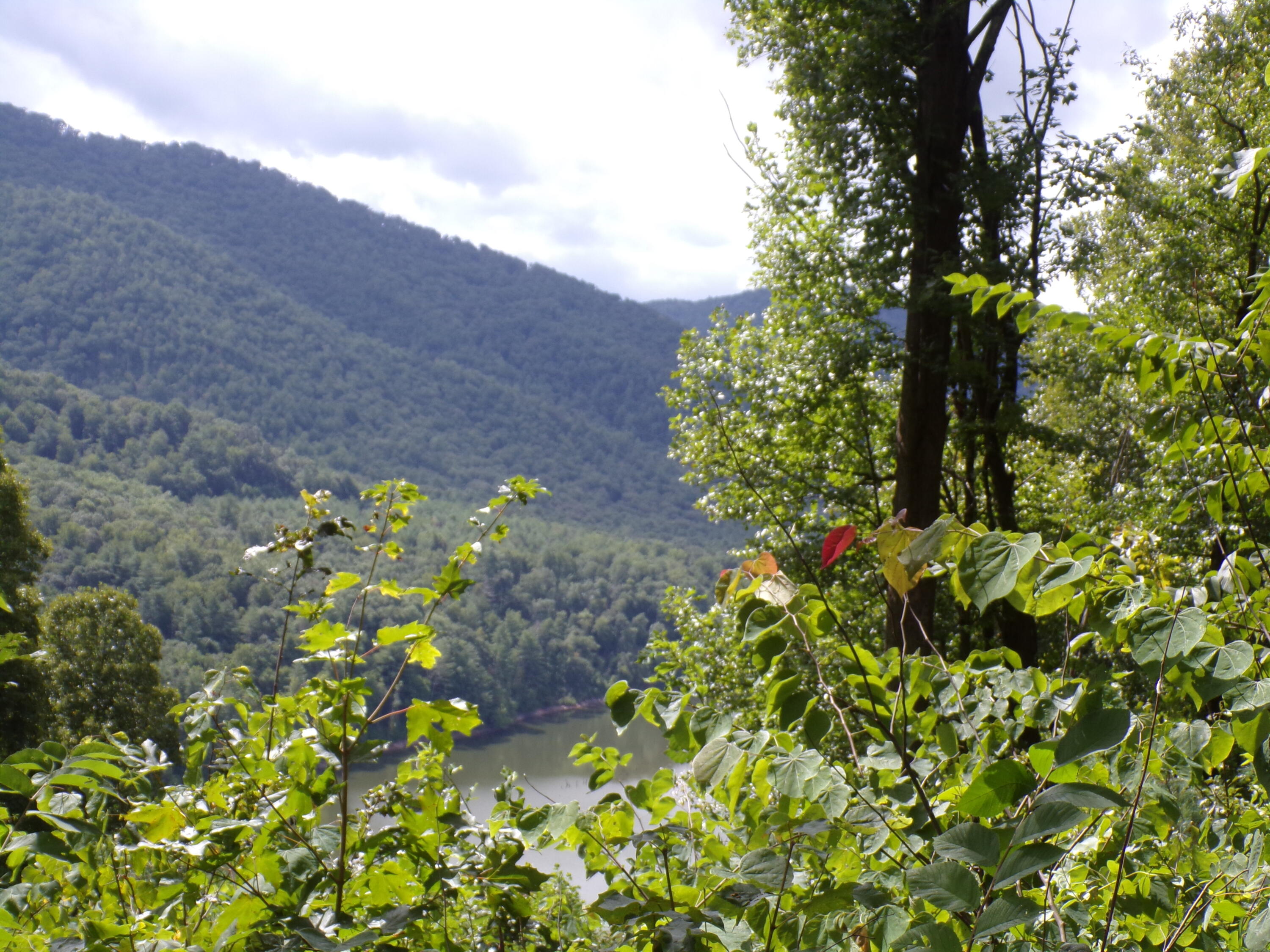 Lot 23 Lake Ridge, Unit 23 Butler, TN 37640 - Photo 6 of 6 103_4948