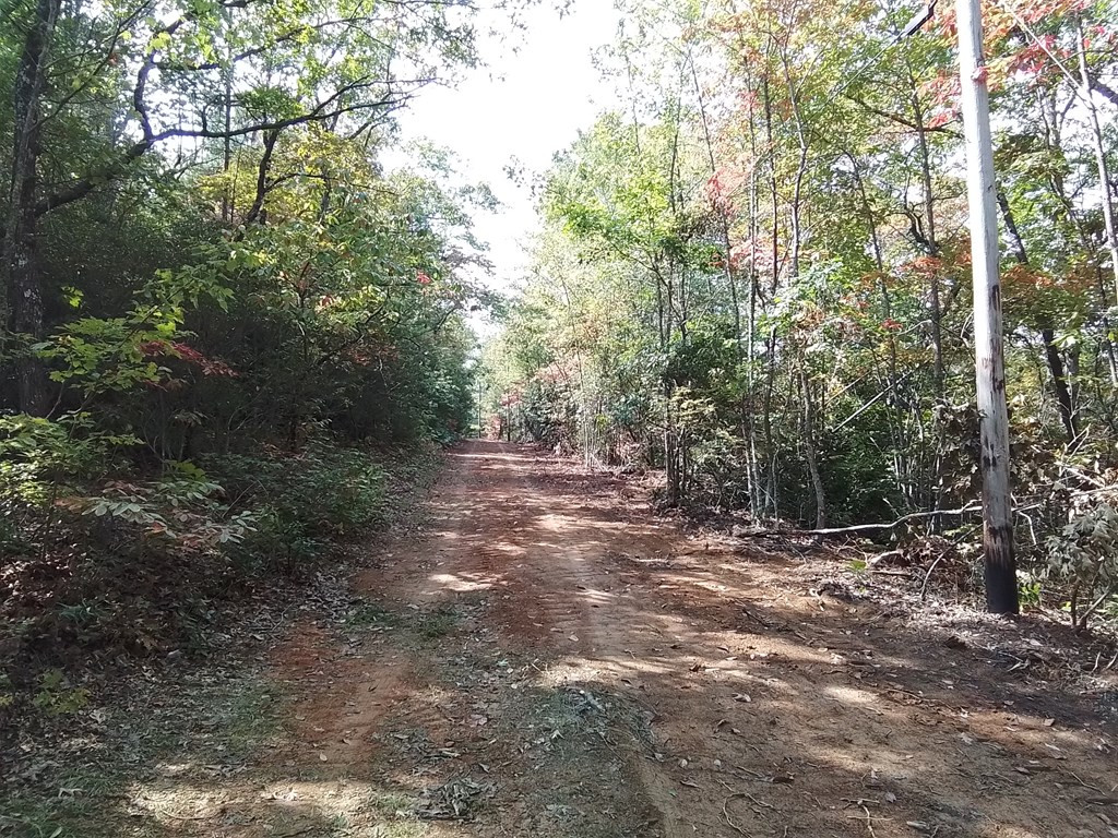 End Of Tanglewood Ridge Murphy, NC 28906 - Photo 8 of 38