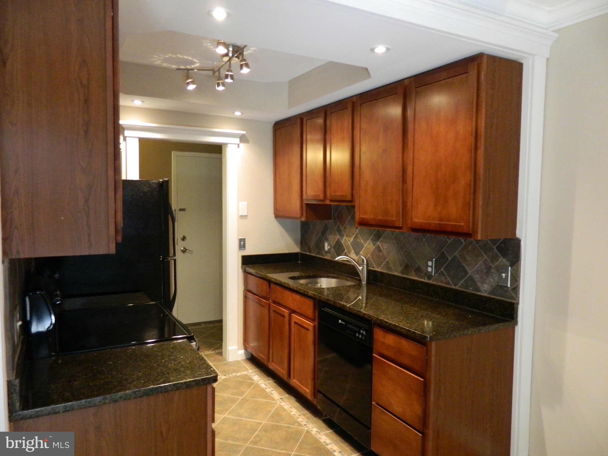 11635 Stoneview Square, Unit 22C Reston, VA 20191 - Photo 4 of 16 Kitchen