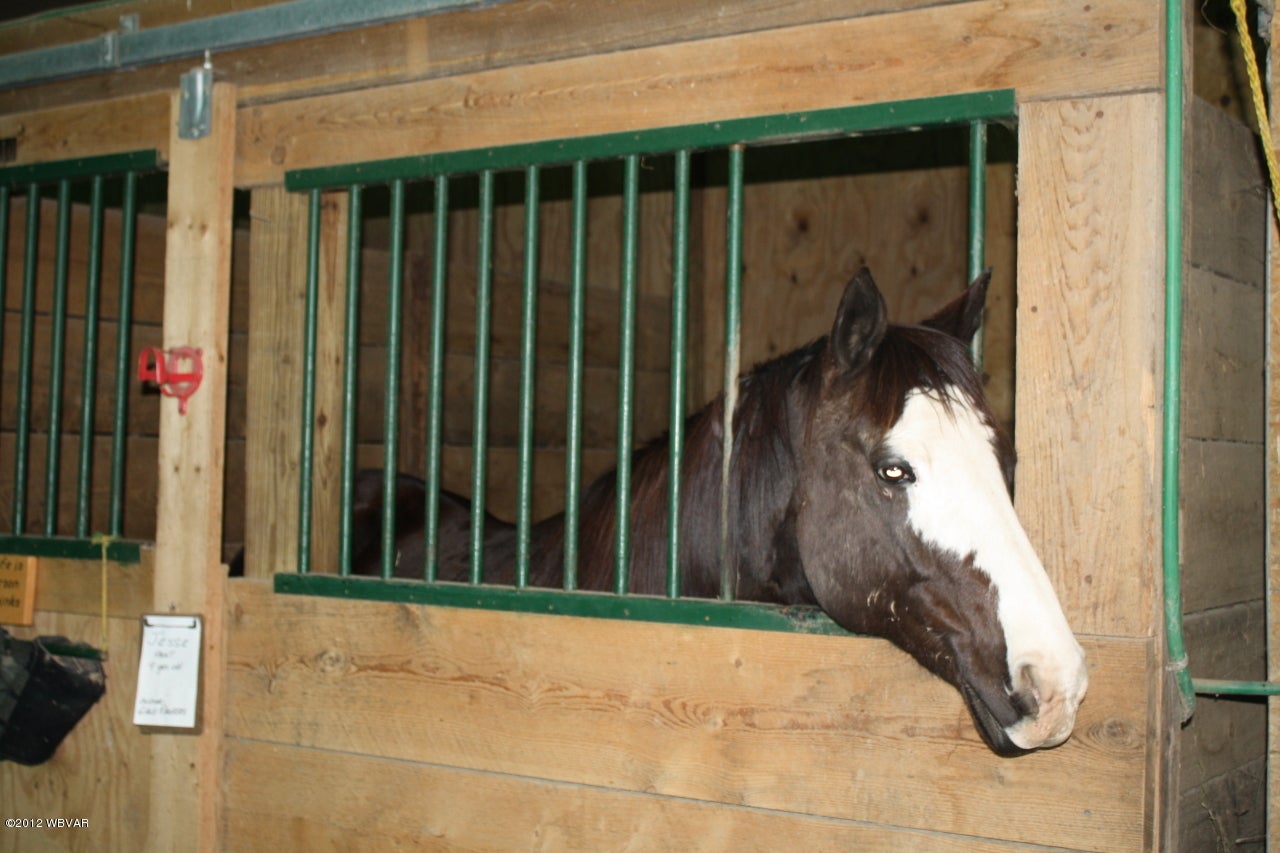 3029 Covered Bridge Road Ulster, PA 18850 - Photo 12 of 15 Stall