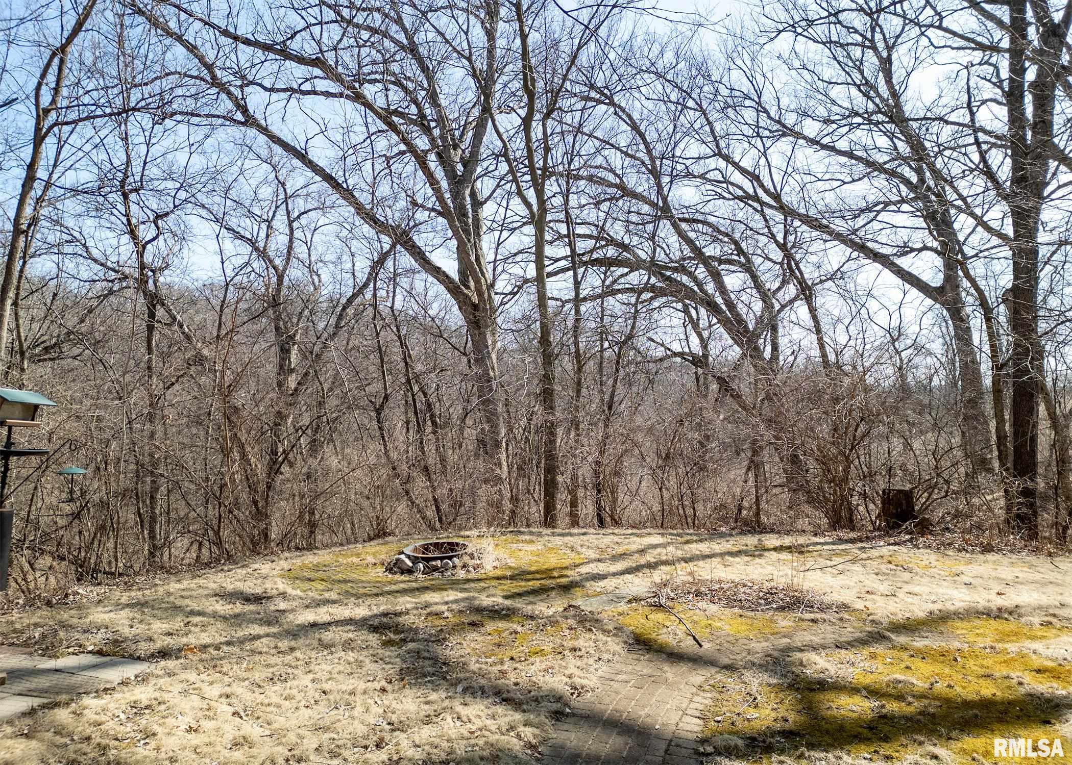 85 Kennelworth Circle Hampton, IL 61256 - Photo 42 of 47